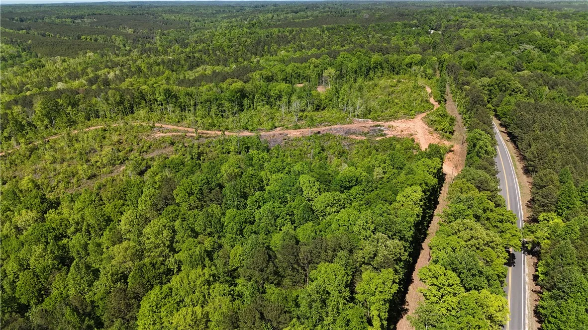 Expansive acreage provides a verdant canvas for your vision, bordering a tranquil road.