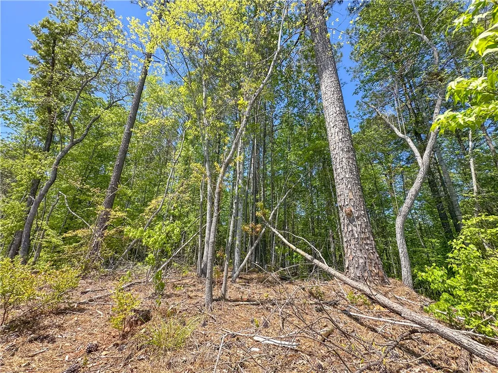 Mature trees and lush greenery offer a serene and natural setting for your dream home.