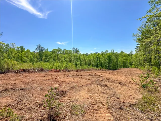 This expansive lot offers a blank canvas for your vision, surrounded by a natural tree line.