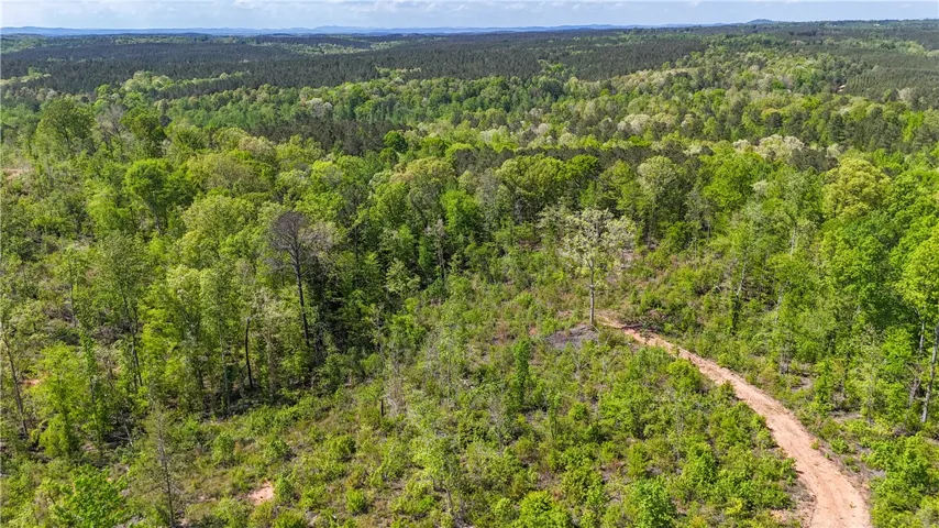 This expansive, verdant landscape offers a tranquil retreat with endless possibilities for development.