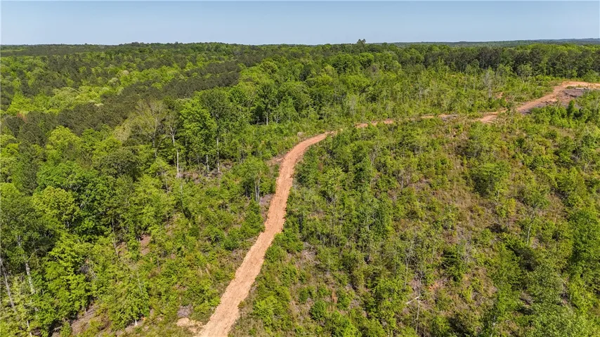 Vast, verdant landscape with a winding dirt path offers an idyllic rural escape.