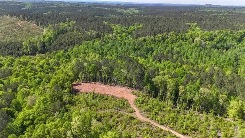 Expansive woodland property with cleared sections and distant mountain views offers a private, natural setting.