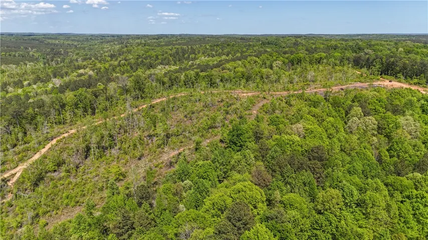 This expansive, verdant landscape offers a tranquil retreat for your future aspirations.