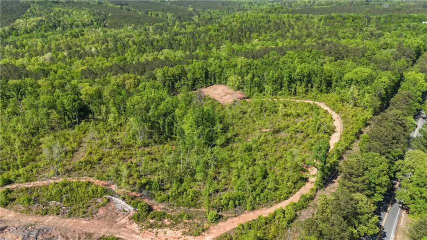 Expansive natural acreage offers verdant privacy and an ideal canvas for custom development.
