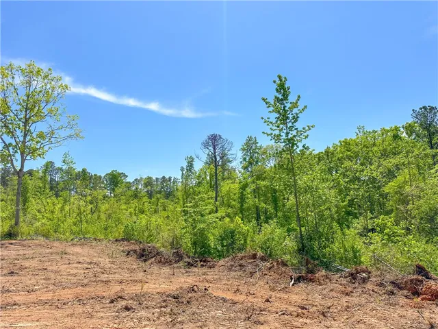 This expansive lot offers a tranquil setting amidst lush greenery, perfect for a private retreat.