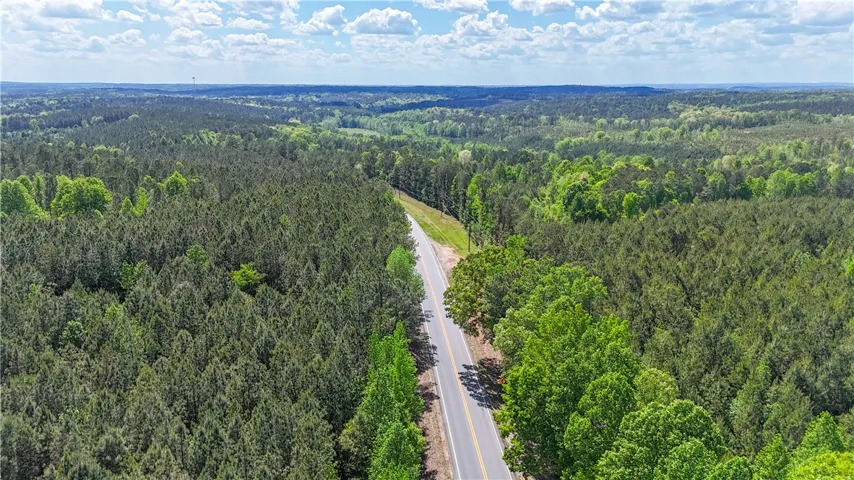 This sweeping aerial view showcases a vibrant expanse of dense, verdant forest.