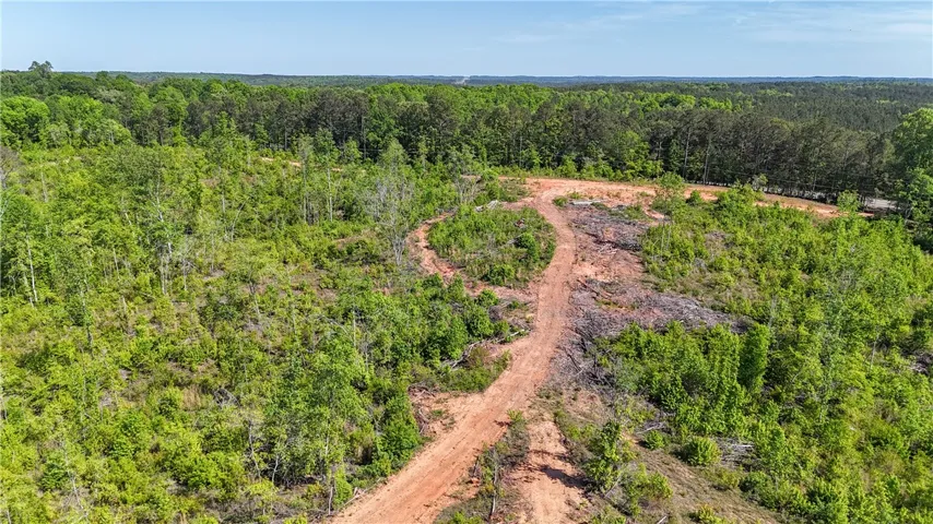 This expansive, verdant lot offers a blank canvas for your vision, surrounded by a lush tree line.