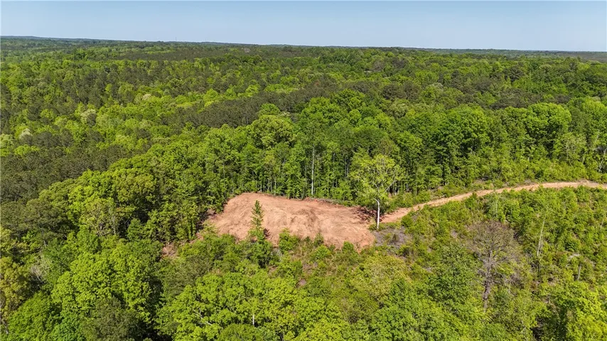 This expansive, wooded lot offers an ideal setting for a private estate amidst nature's tranquility.