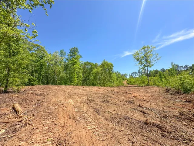 This expansive lot offers ample space for new construction, bordered by verdant trees under a bright sky.