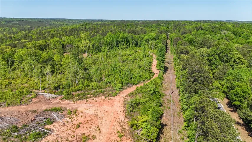 Expansive acreage provides a verdant canvas for your vision, surrounded by lush, mature trees.