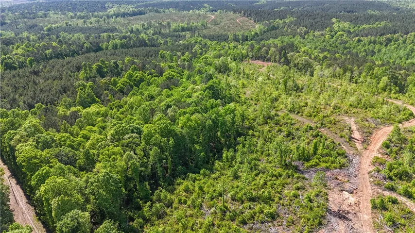 This verdant expanse offers endless possibilities for development or natural preservation.