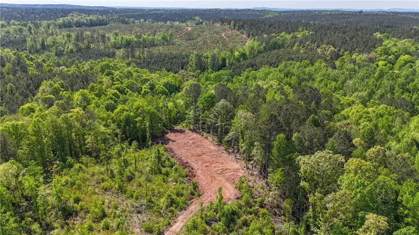 Vast green acreage offers an expansive canvas for your envisioned private retreat.