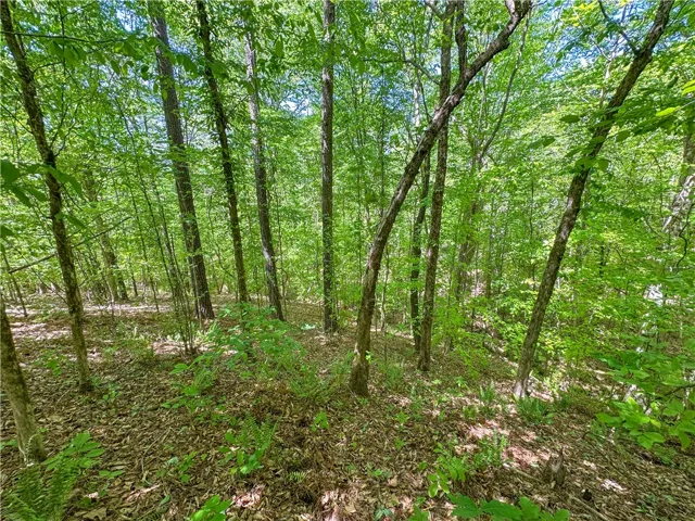 This tranquil wooded property offers a serene setting for your future home.