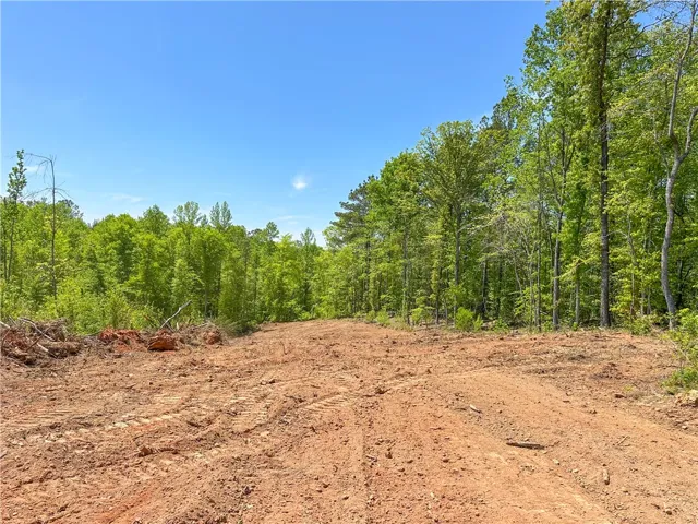 This expansive, cleared lot offers a serene setting for your future home.