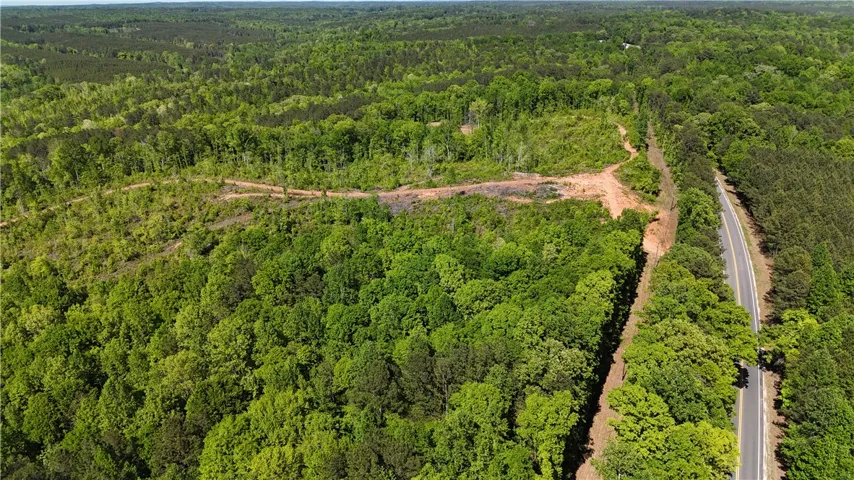 Expansive acreage provides a verdant canvas for your vision, bordering a tranquil road.