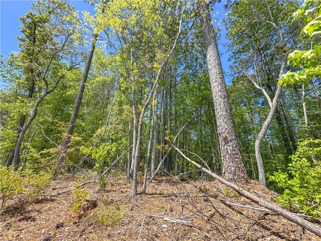 Mature trees and lush greenery offer a serene and natural setting for your dream home.