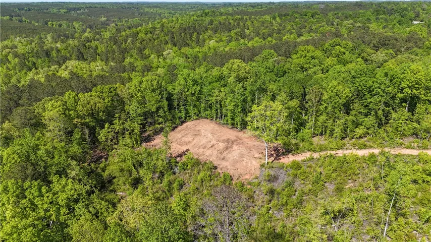 This expansive lot, surrounded by a lush tree line, offers an ideal canvas for building your dream estate.