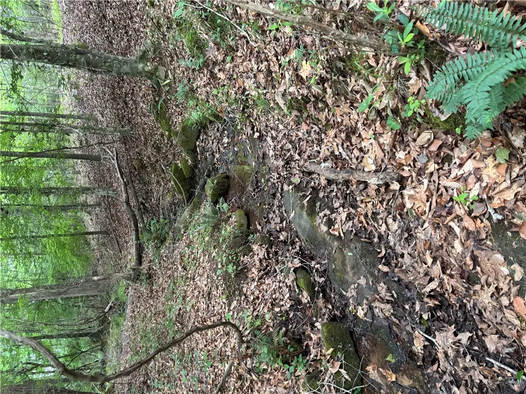 Discover a tranquil stream meandering through a wooded property.