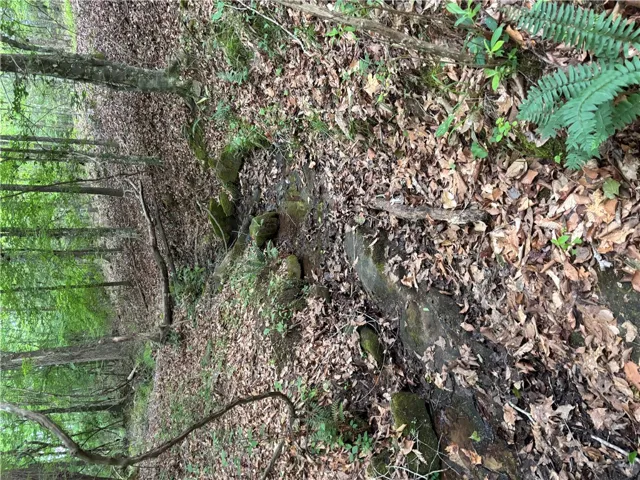Discover a tranquil stream meandering through a wooded property.