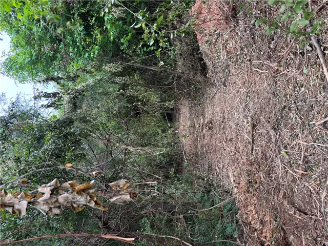 A verdant, undeveloped lot offers a canvas for a future dream residence amidst nature.