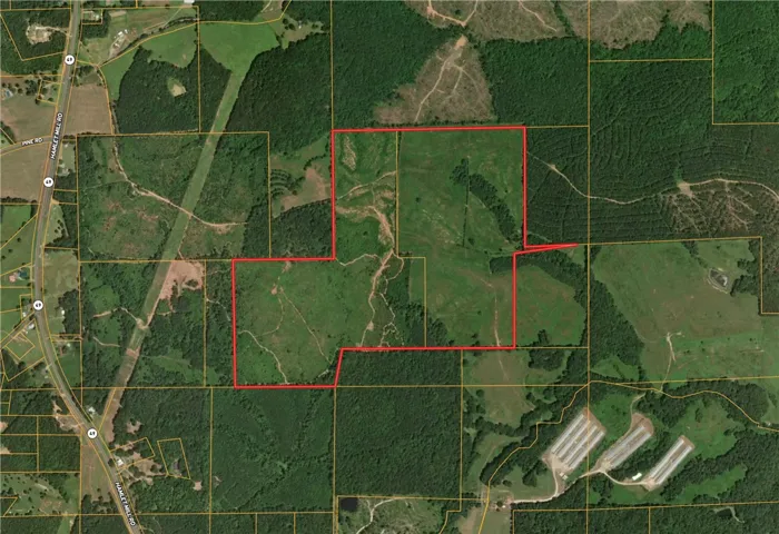 This expansive aerial view showcases a verdant landscape, offering diverse opportunities for development.