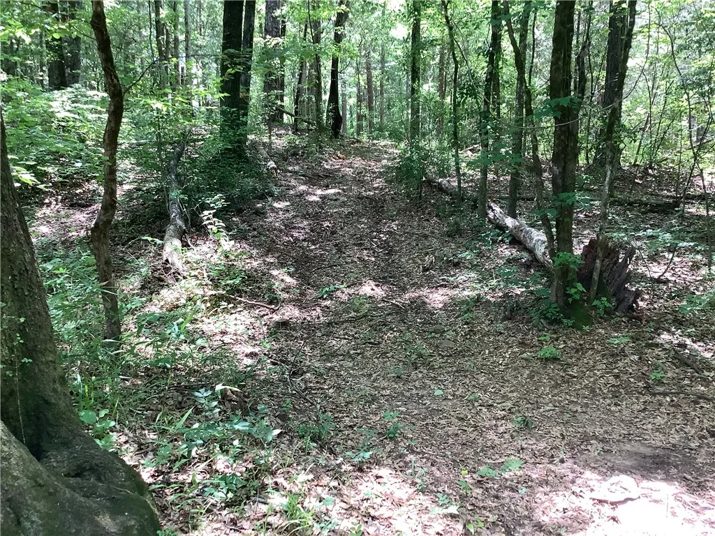 This tranquil wooded lot offers a private natural escape.