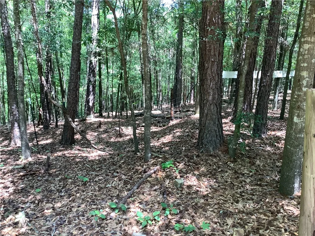 This tranquil lot, surrounded by natural foliage, offers a peaceful retreat for your future home.