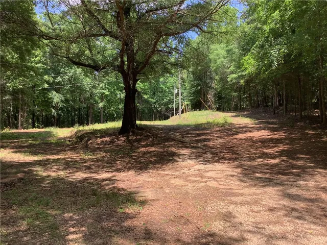 This tranquil wooded lot offers a serene escape, perfect for building your dream home amidst nature's embrace.