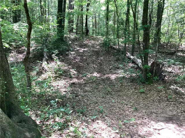This tranquil wooded lot offers a private natural escape.