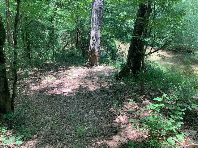 This tranquil wooded lot offers serene natural surroundings and direct water access.