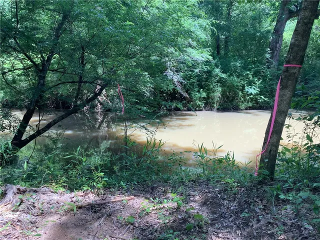 This tranquil creek, surrounded by lush trees, offers a serene natural escape.