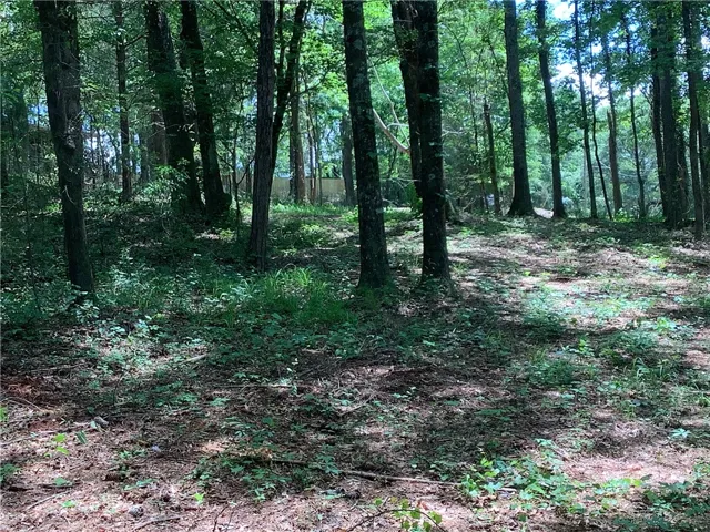 This verdant, wooded lot provides a serene natural setting, perfect for your private sanctuary.