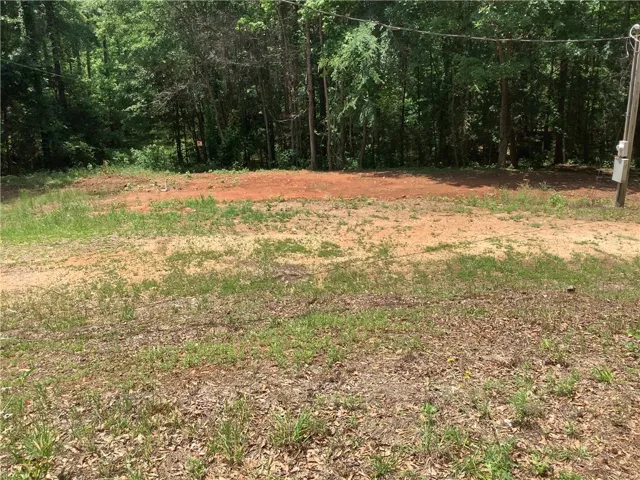 A spacious lot offering ample room for a custom build, surrounded by mature trees.