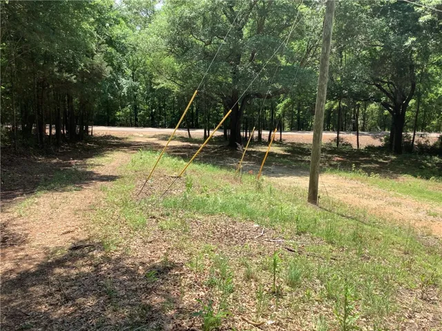 A tranquil wooded area offers a private retreat, ready for your vision.