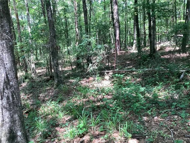 This tranquil wooded lot offers a peaceful retreat for nature enthusiasts.