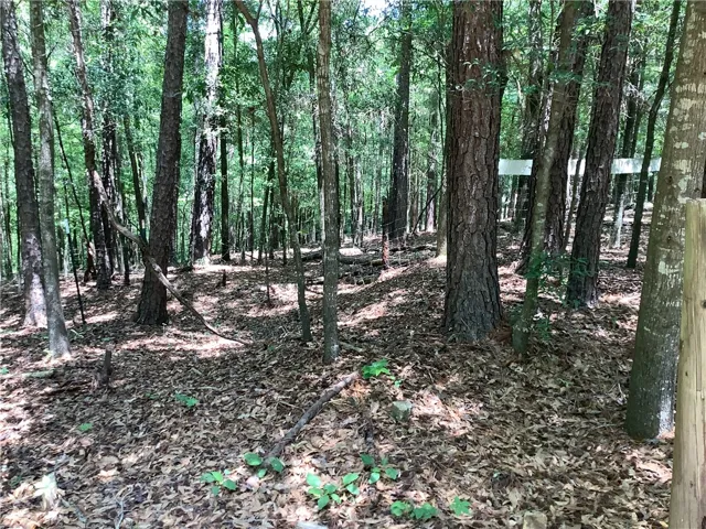 This tranquil lot, surrounded by natural foliage, offers a peaceful retreat for your future home.