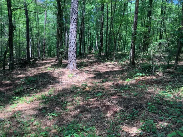 A tranquil wooded lot offers a peaceful retreat for your future home.