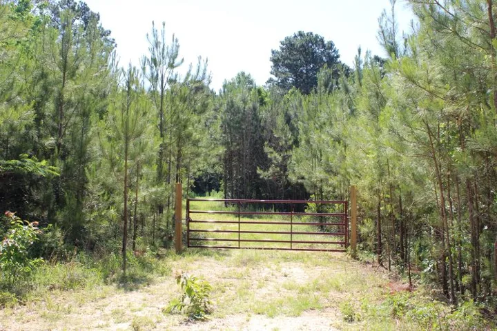 This tranquil wooded lot offers a private entrance with a gated entry, ideal for seclusion.
