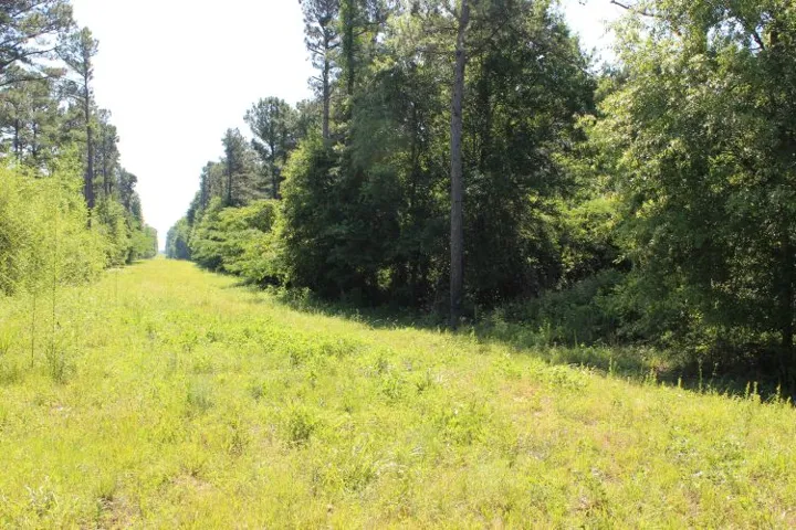 This serene, expansive property offers a lush green landscape with abundant mature trees.