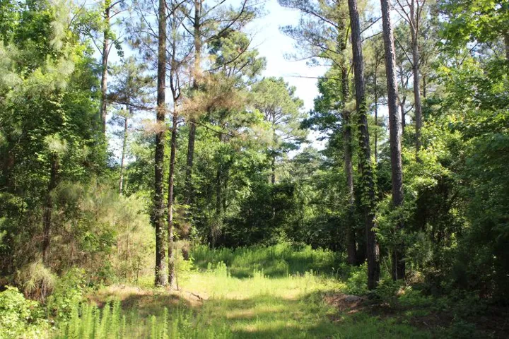 Mature trees and undergrowth define this private, lot with natural appeal.
