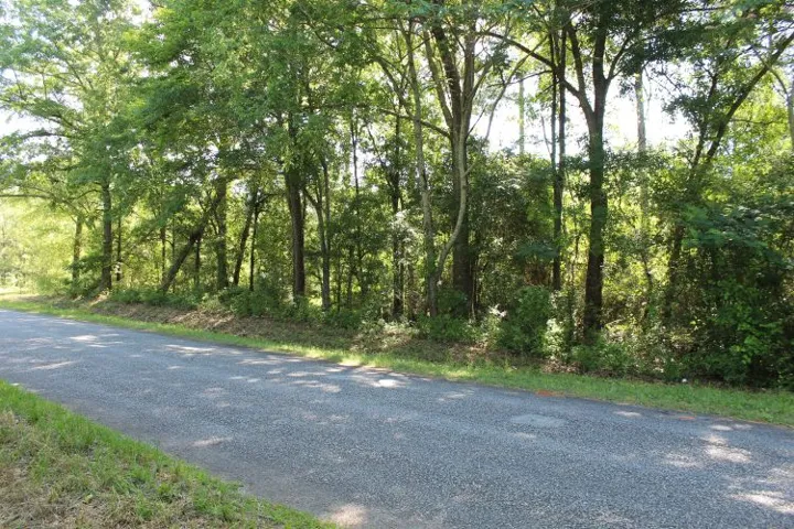 Mature trees line the quiet road, offering a natural boundary and shaded ambiance for this lot.