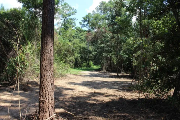 New Access Road.
