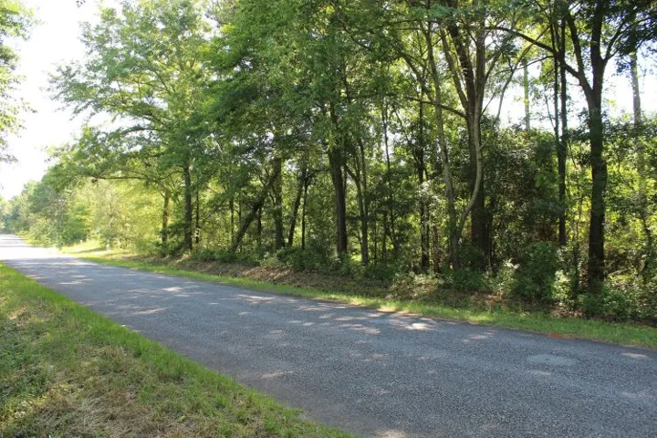 A tranquil, tree-lined road invites exploration of this natural property.