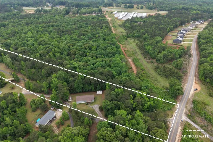 Discover vast land with lush trees and development potential, bordered by a road.