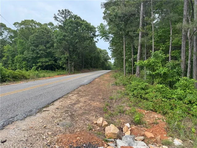 Mature trees flank a well-maintained asphalt road, offering a serene, private setting.