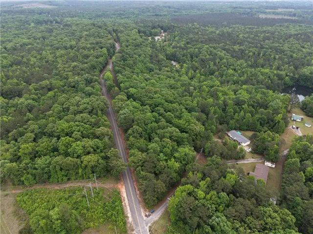 This aerial view showcases a verdant landscape with homes nestled among mature trees and a serene body of water.
