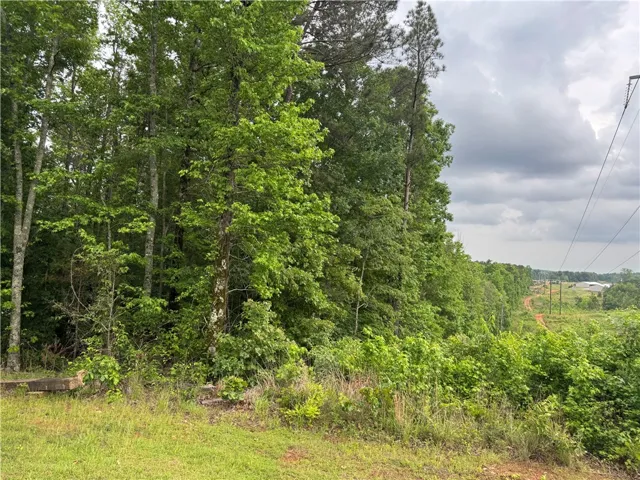 A verdant parcel bordered by dense woodland offers potential for development.