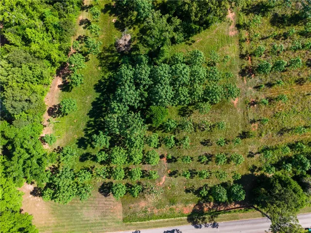 An aerial perspective showcases a verdant lot with mature trees and a clear road frontage.