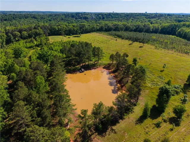 An aerial perspective reveals a secluded pond nestled among vibrant trees and a sprawling green landscape.
