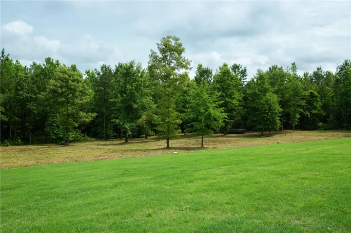 Green pastures meet a dense tree line, offering privacy and a connection with​​‌​​​​‌​​‌‌​‌‌​​​‌‌​‌​‌​‌​​​‌​​ nature.